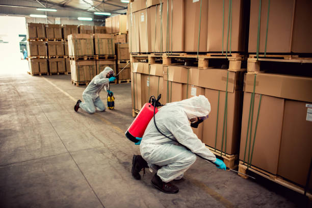 Best Affordable Exterminators  in Winterset, IA