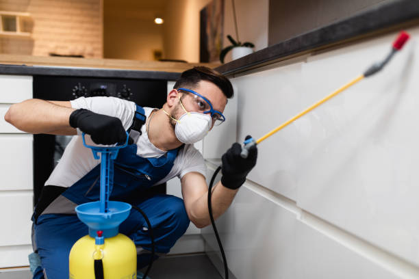 Best Affordable Pest Control Services  in Winterset, IA
