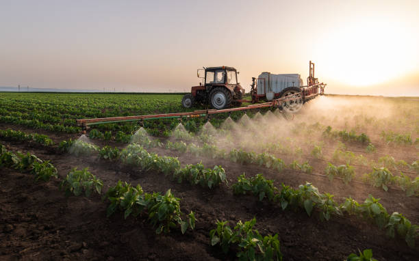 Best Pest Removal Services  in Winterset, IA