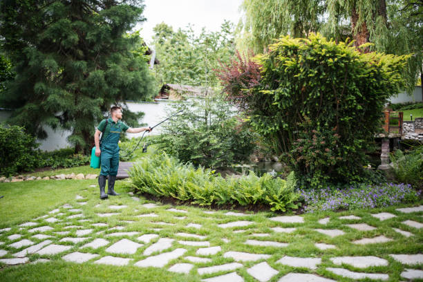 Best Commercial Pest Control Services  in Winterset, IA