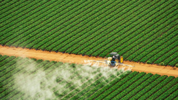 Best Insect Control  in Winterset, IA