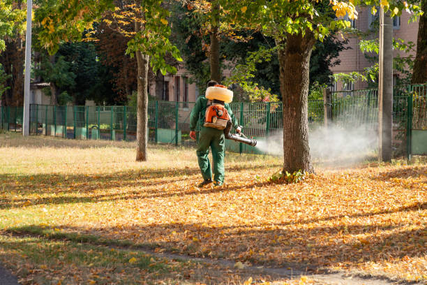 Best Best Pest Control Companies  in Winterset, IA
