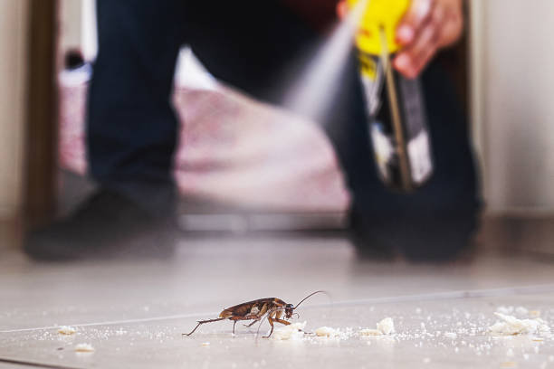 Best Termite Control Services  in Winterset, IA