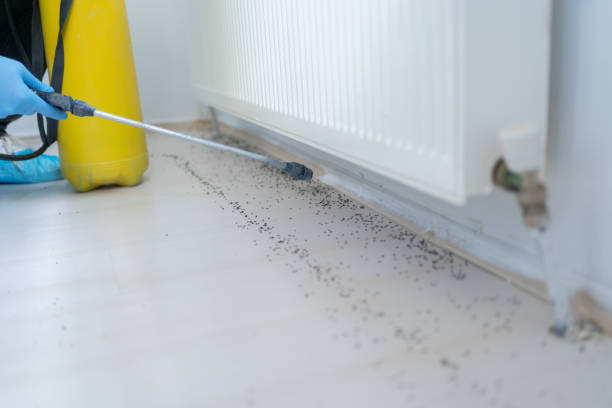 Best Ant Control Services  in Winterset, IA