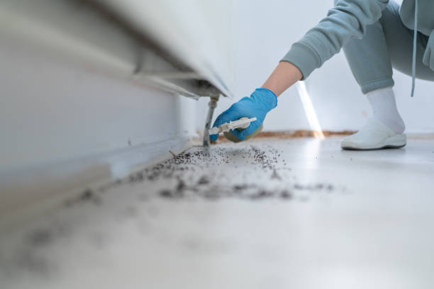 Best Commercial Pest Control Services  in Winterset, IA